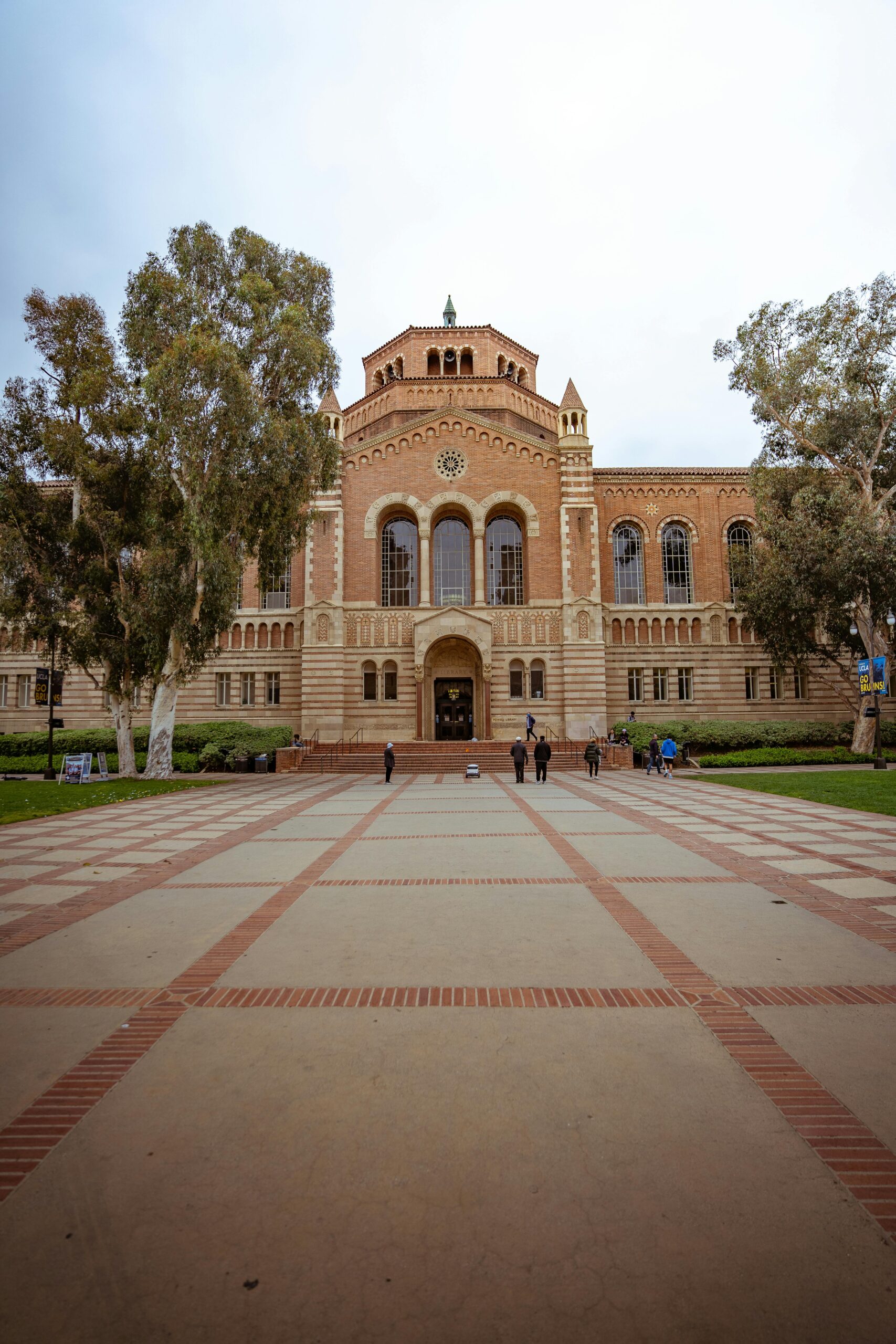 The World at UC Berkeley→Leader in Innovation, Diversity & Excellence.